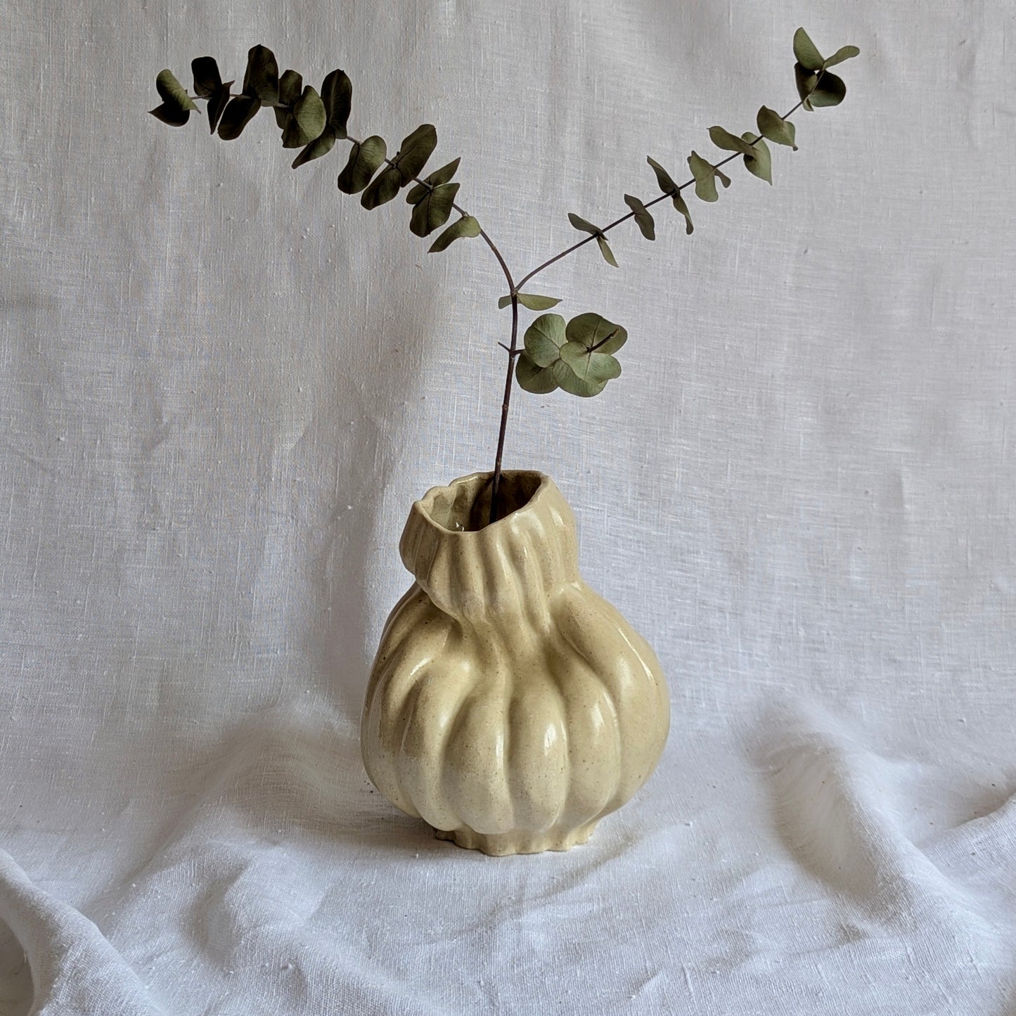 Calabaza caprichosa