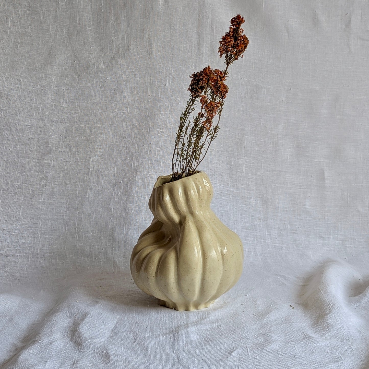Calabaza caprichosa