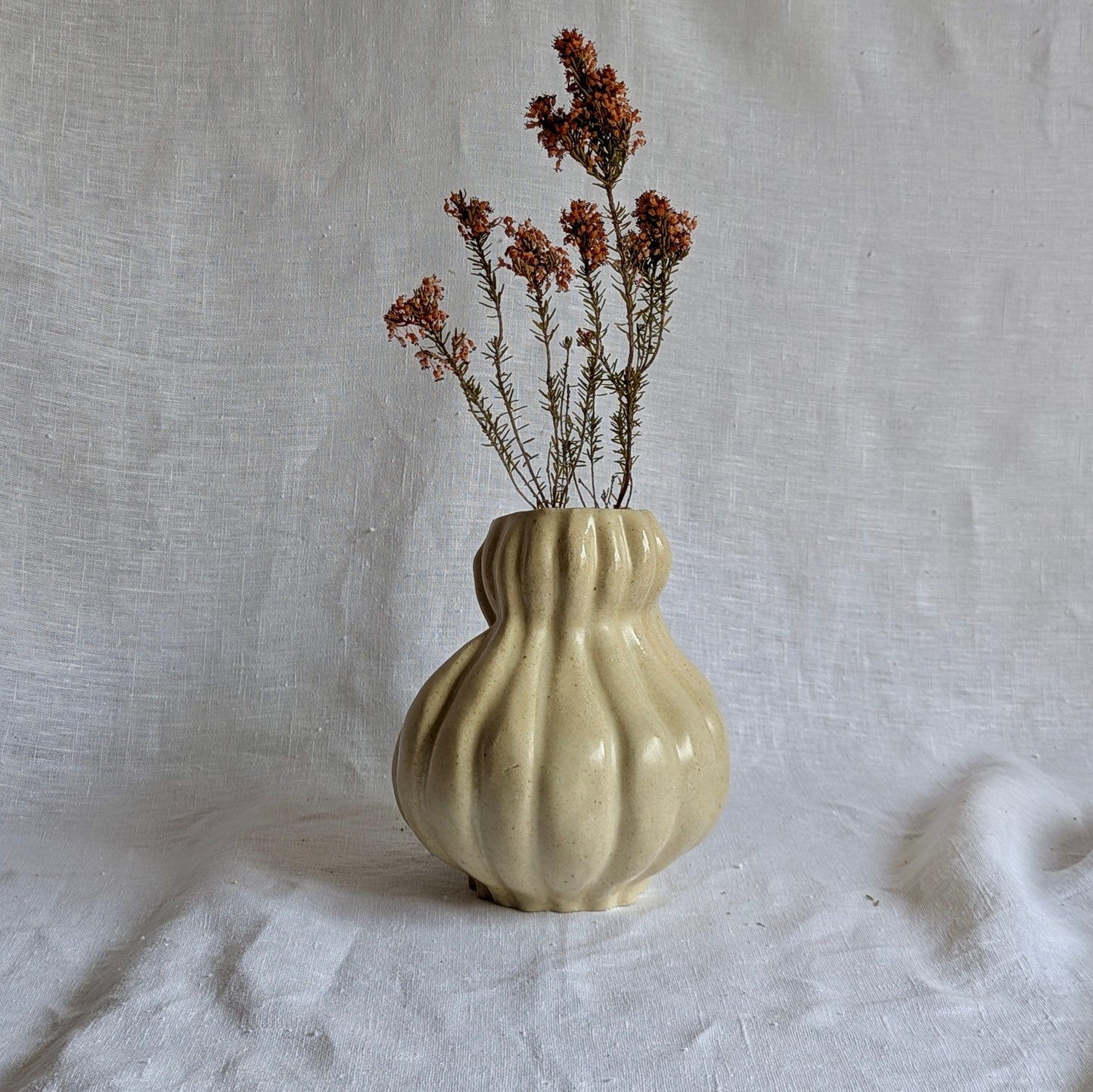 Calabaza caprichosa