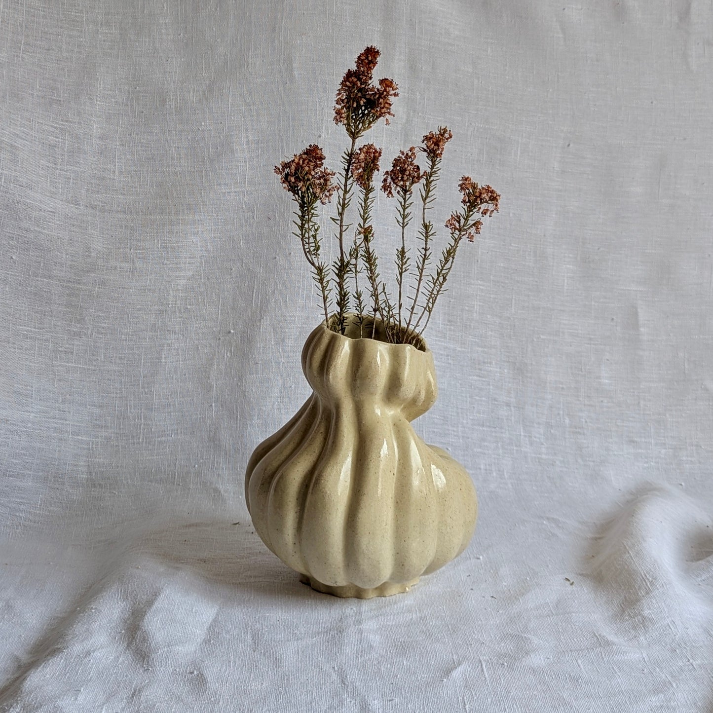 Calabaza caprichosa
