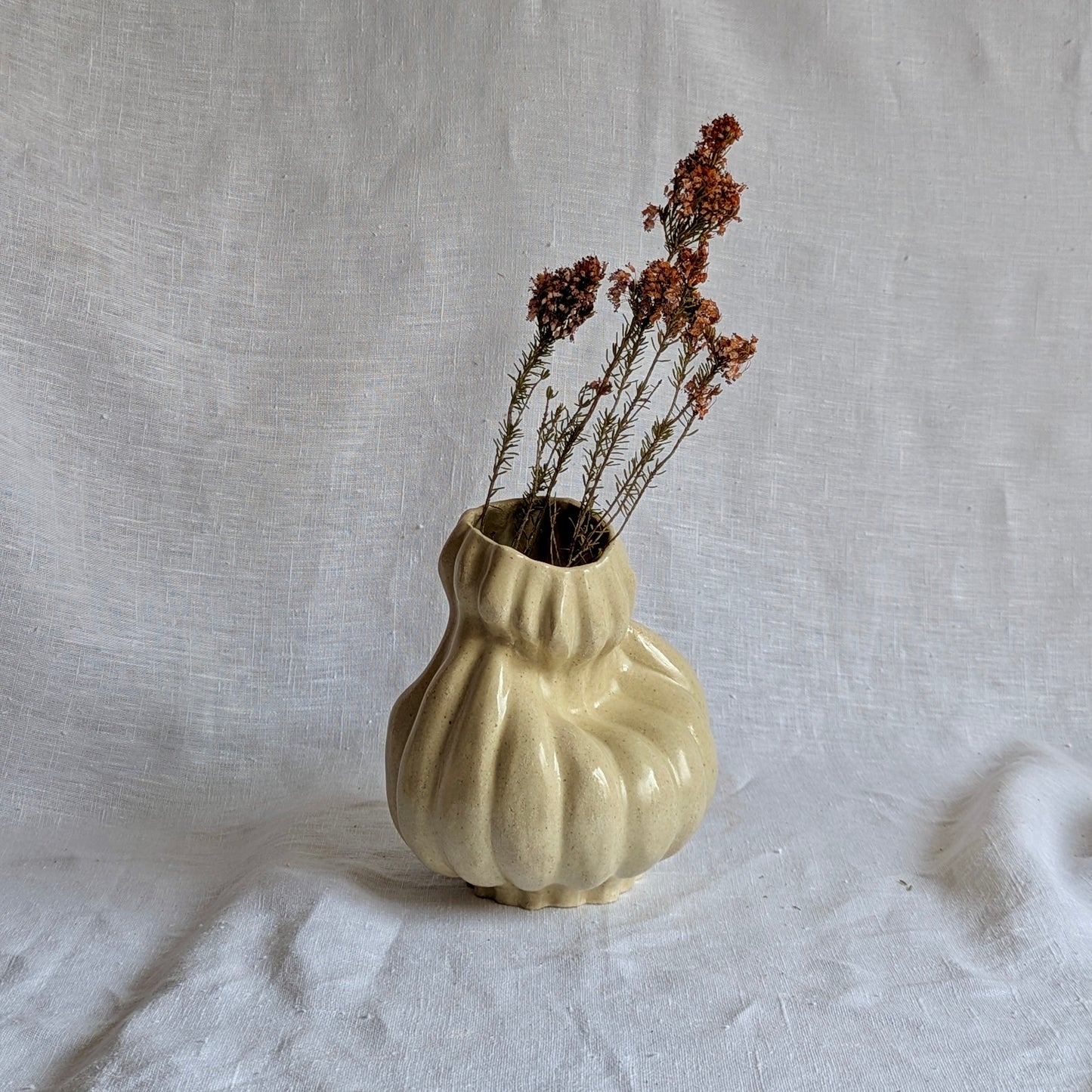 Calabaza caprichosa