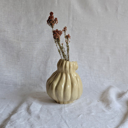 Calabaza caprichosa