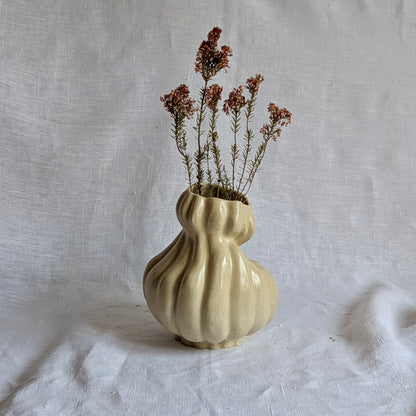 Calabaza caprichosa