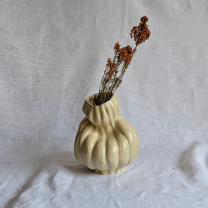 Calabaza caprichosa